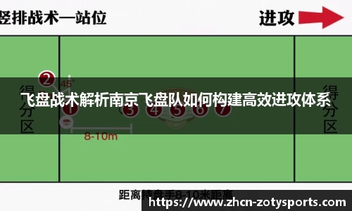 中欧体育
