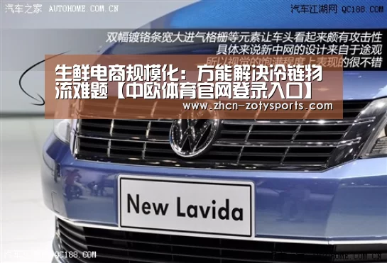 中欧体育官方网站最新版