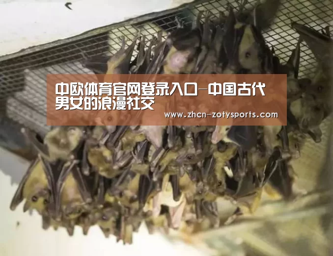 中欧体育官方网站下载